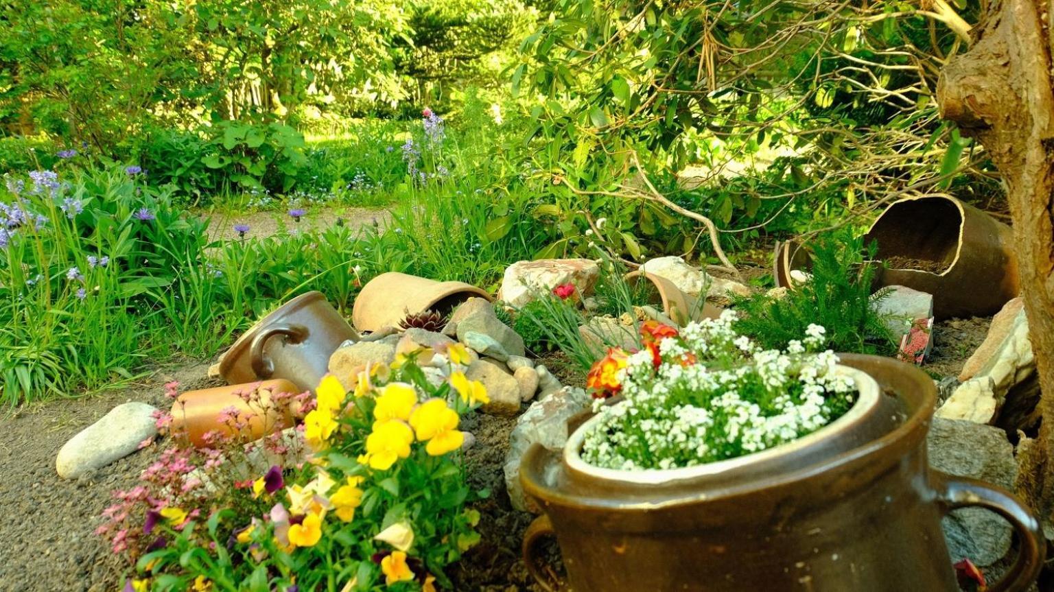Villa Lydia Altenberg  Dış mekan fotoğraf